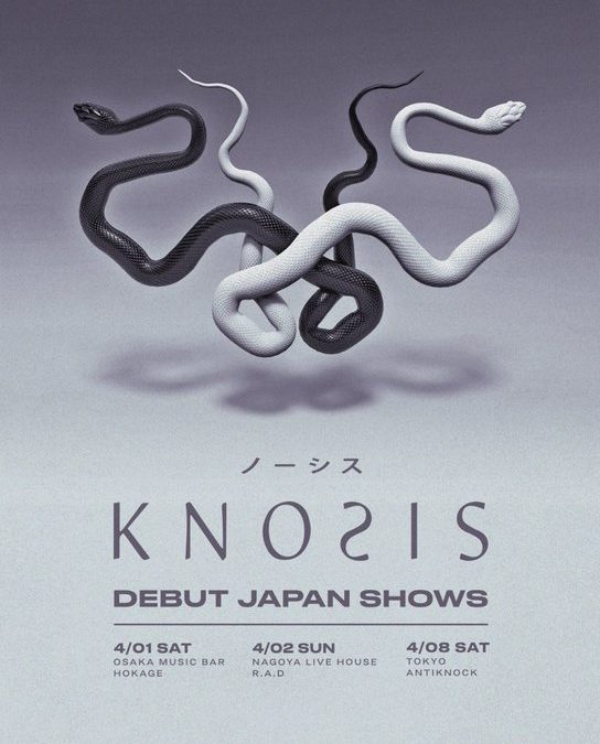4月8日Knosis新宿アンチノックライブ使用ケーブルリスト